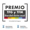 Premio TFB y TFM